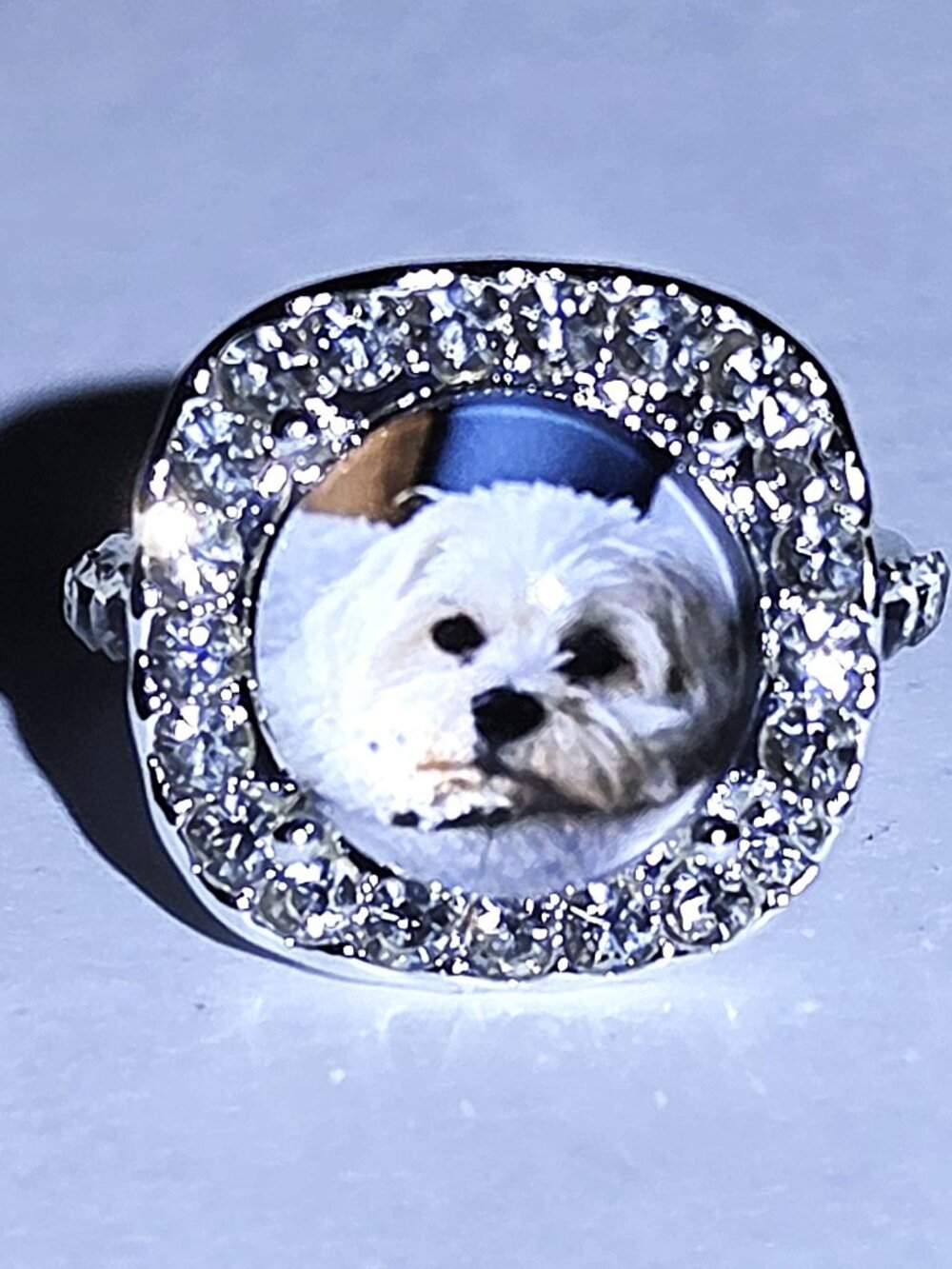 Great RIng With Precious White Dog